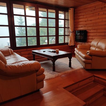 "Nest" The Wooden Suite By Ski Alure Eptálofos エクステリア 写真