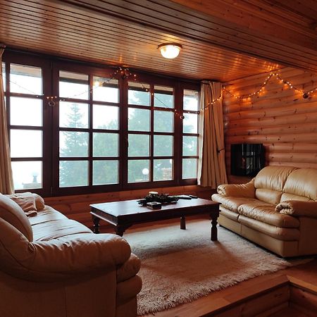 "Nest" The Wooden Suite By Ski Alure Eptálofos エクステリア 写真